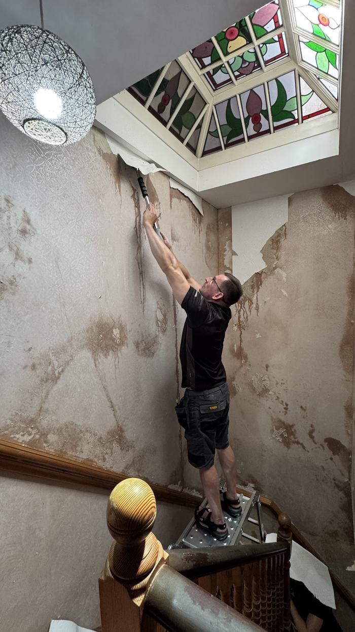 Alex stripping old wallpaper under a stained-glass skylight